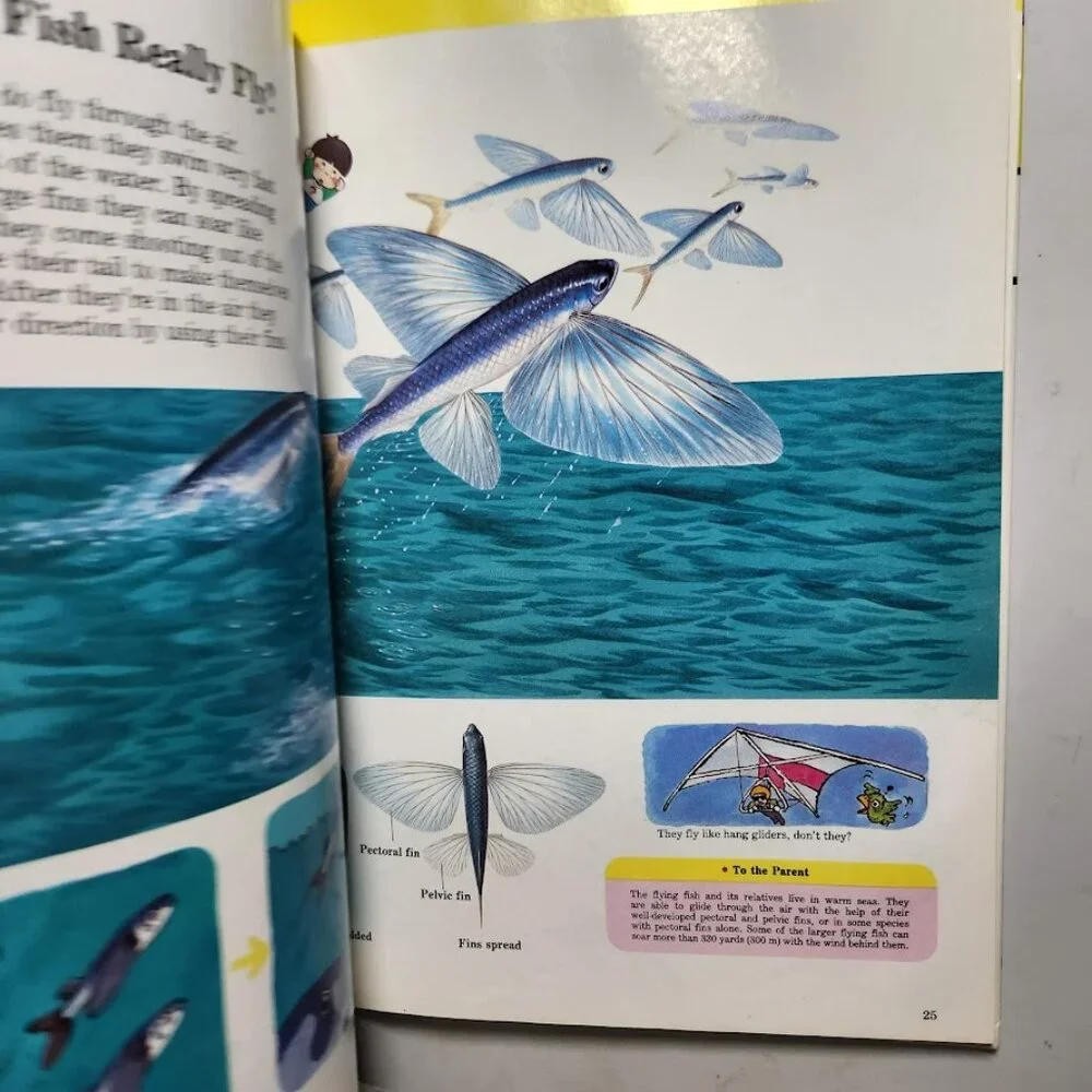 Life in the Water Child's First Library of Learning Science Stem Book Homeschool